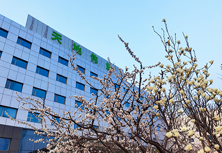 mg冰球突破·豪华版(试玩)官方网站