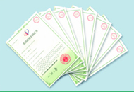 mg冰球突破·豪华版(试玩)官方网站