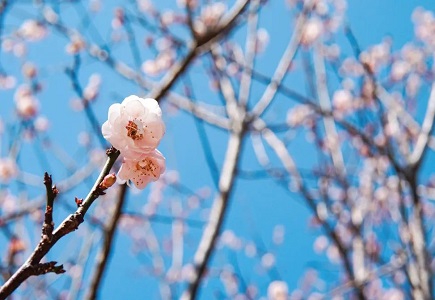 mg冰球突破·豪华版(试玩)官方网站